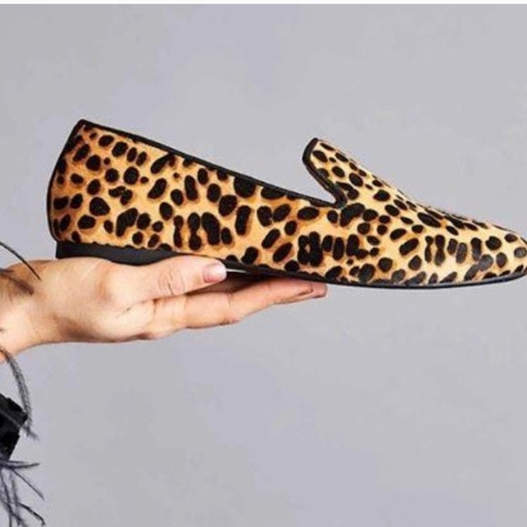 birdies starling cheetah